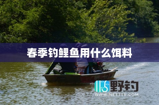 春季钓鲤鱼用什么饵料