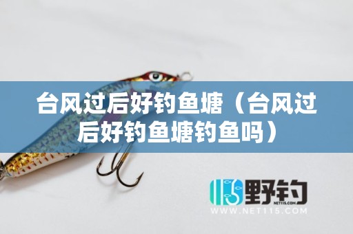 台风过后好钓鱼塘（台风过后好钓鱼塘钓鱼吗）