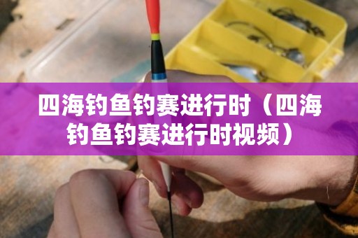 四海钓鱼钓赛进行时（四海钓鱼钓赛进行时视频）