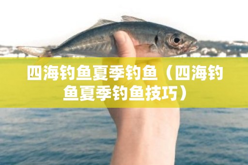 四海钓鱼夏季钓鱼（四海钓鱼夏季钓鱼技巧）
