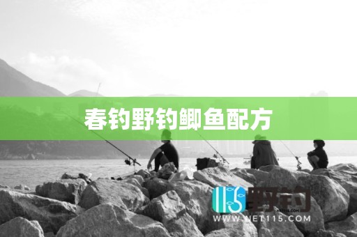 春钓野钓鲫鱼配方