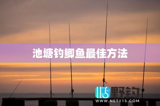 池塘钓鲫鱼最佳方法