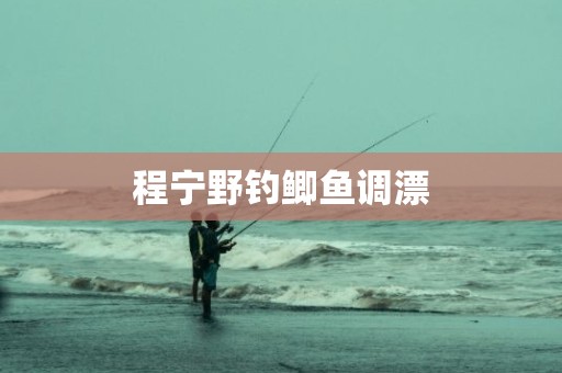 程宁野钓鲫鱼调漂