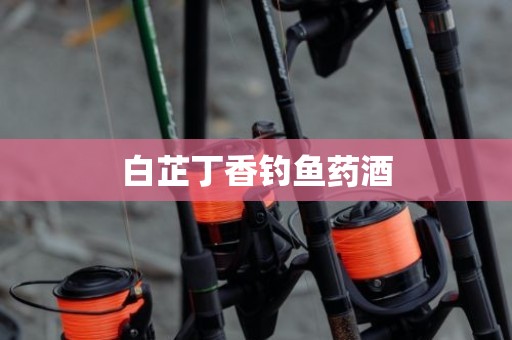 白芷丁香钓鱼药酒