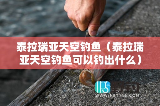 泰拉瑞亚天空钓鱼（泰拉瑞亚天空钓鱼可以钓出什么）6
