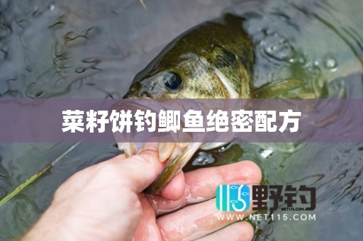 菜籽饼钓鲫鱼绝密配方