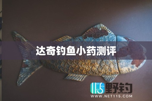 达奇钓鱼小药测评
