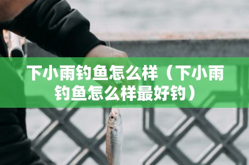 下小雨钓鱼怎么样（下小雨钓鱼怎么样最好钓）