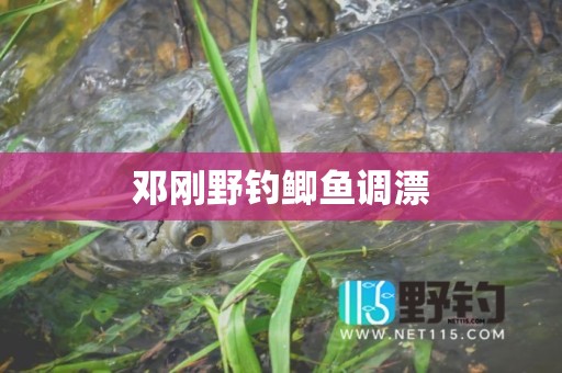 邓刚野钓鲫鱼调漂