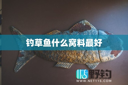 钓草鱼什么窝料最好