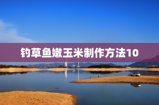 钓草鱼嫩玉米制作方法10
