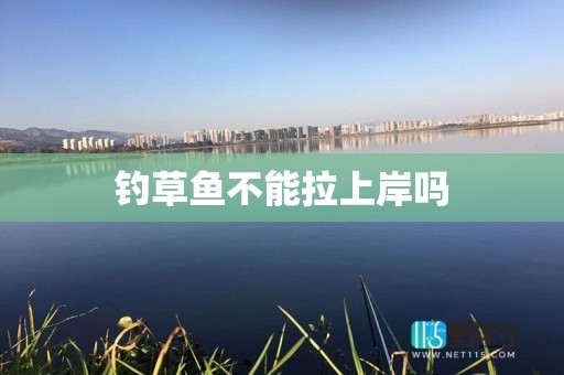 钓草鱼不能拉上岸吗