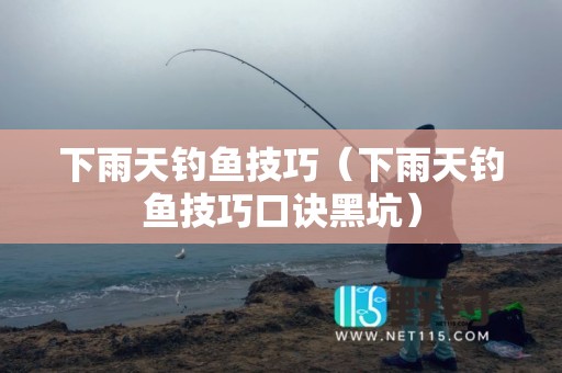 下雨天钓鱼技巧（下雨天钓鱼技巧口诀黑坑）