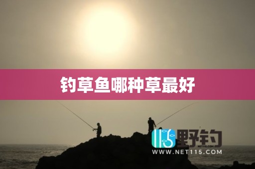 钓草鱼哪种草最好