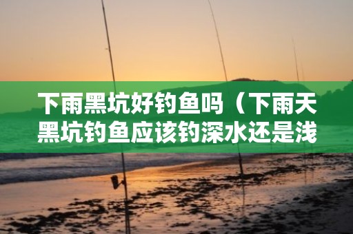 下雨黑坑好钓鱼吗（下雨天黑坑钓鱼应该钓深水还是浅水）