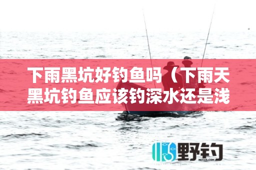 下雨黑坑好钓鱼吗（下雨天黑坑钓鱼应该钓深水还是浅水）3