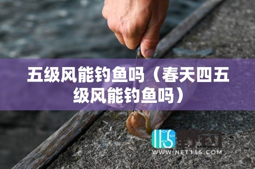 五级风能钓鱼吗（春天四五级风能钓鱼吗）