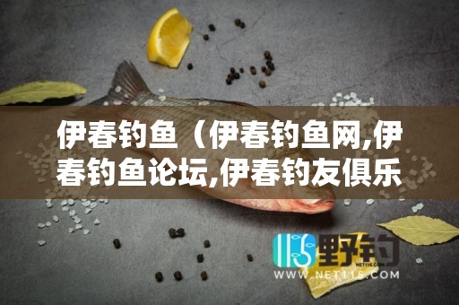 伊春钓鱼（伊春钓鱼网,伊春钓鱼论坛,伊春钓友俱乐部）
