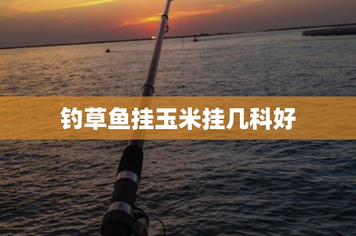 钓草鱼挂玉米挂几科好