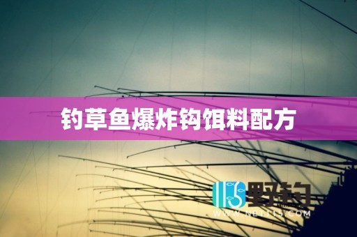 钓草鱼爆炸钩饵料配方