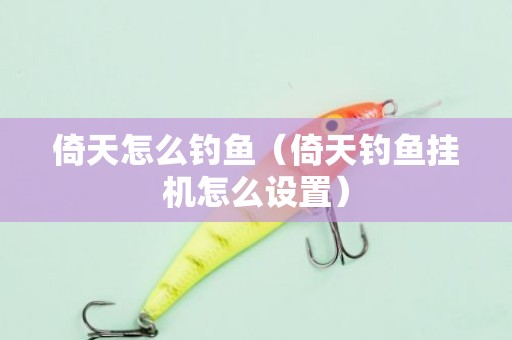 倚天怎么钓鱼（倚天钓鱼挂机怎么设置）