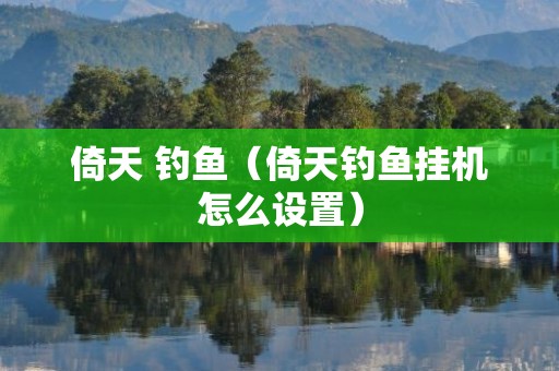 倚天 钓鱼（倚天钓鱼挂机怎么设置）