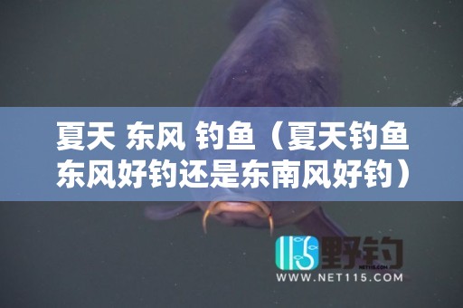 夏天 东风 钓鱼（夏天钓鱼东风好钓还是东南风好钓）