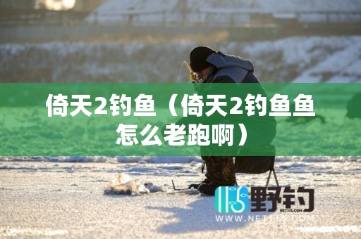 倚天2钓鱼（倚天2钓鱼鱼怎么老跑啊）