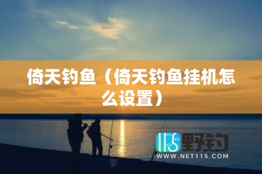 倚天钓鱼（倚天钓鱼挂机怎么设置）