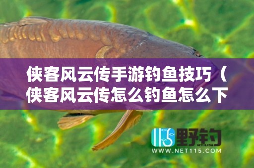 侠客风云传手游钓鱼技巧（侠客风云传怎么钓鱼怎么下竿）