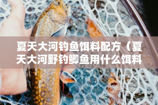 夏天大河钓鱼饵料配方（夏天大河野钓鲫鱼用什么饵料）