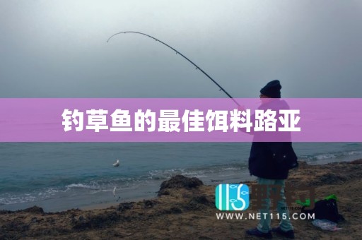 钓草鱼的最佳饵料路亚