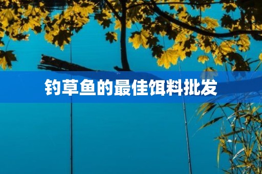 钓草鱼的最佳饵料批发