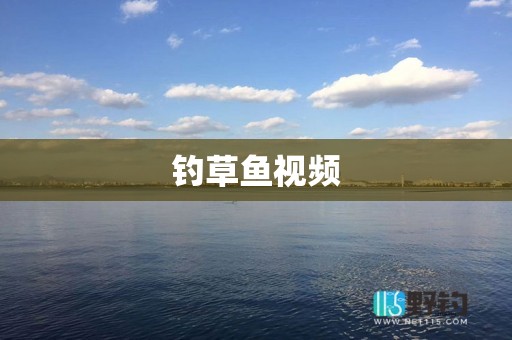 钓草鱼视频