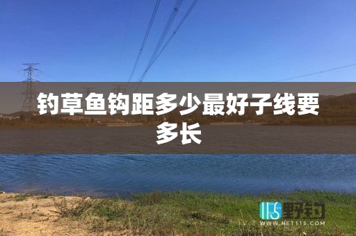 钓草鱼钩距多少最好子线要多长