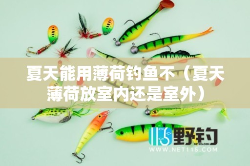 夏天能用薄荷钓鱼不（夏天薄荷放室内还是室外）
