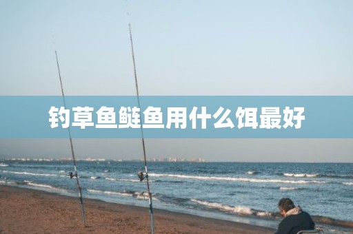 钓草鱼鲢鱼用什么饵最好