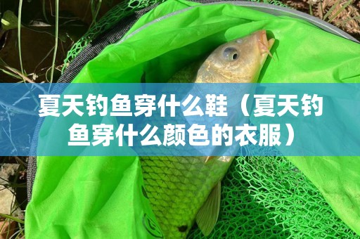 夏天钓鱼穿什么鞋（夏天钓鱼穿什么颜色的衣服）