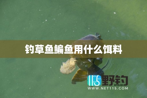 钓草鱼鳊鱼用什么饵料