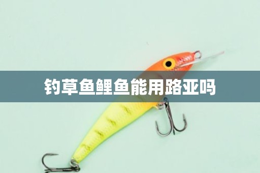 钓草鱼鲤鱼能用路亚吗