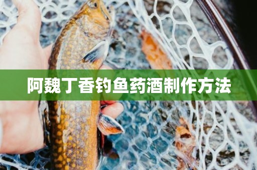 阿魏丁香钓鱼药酒制作方法