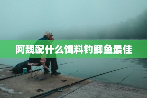 阿魏配什么饵料钓鲫鱼最佳