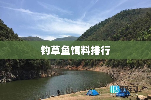 钓草鱼饵料排行