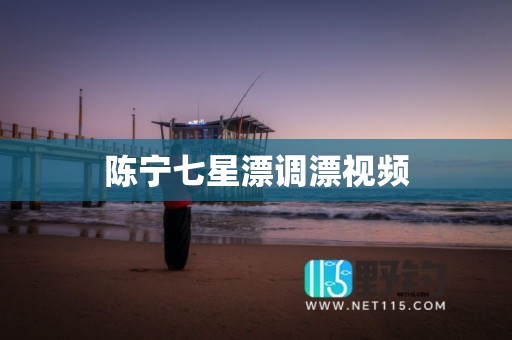陈宁七星漂调漂视频