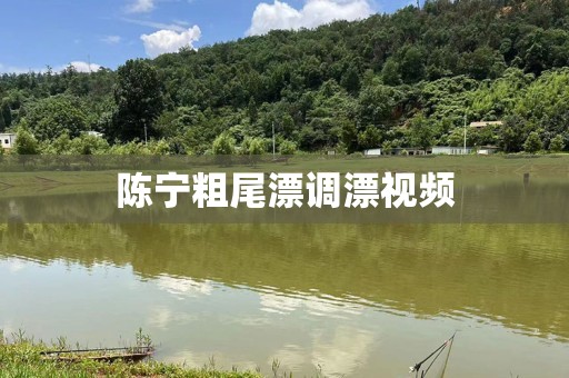 陈宁粗尾漂调漂视频