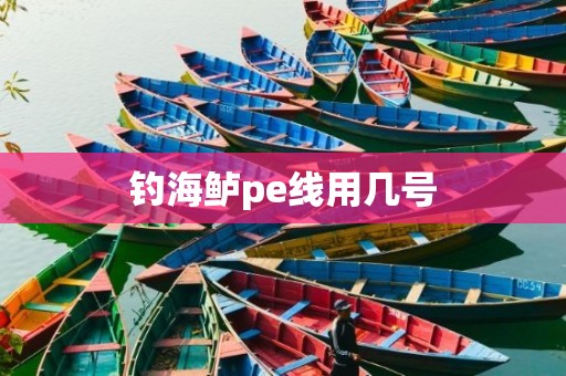钓海鲈pe线用几号