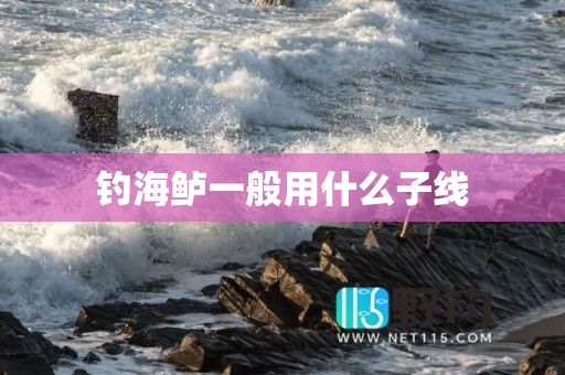 钓海鲈一般用什么子线