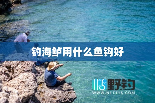 钓海鲈用什么鱼钩好