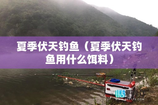 夏季伏天钓鱼（夏季伏天钓鱼用什么饵料）