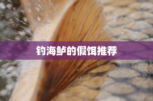 钓海鲈的假饵推荐
